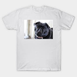 Black Pug Dog T-Shirt